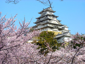 日本樱花花期由南至北逐渐开放